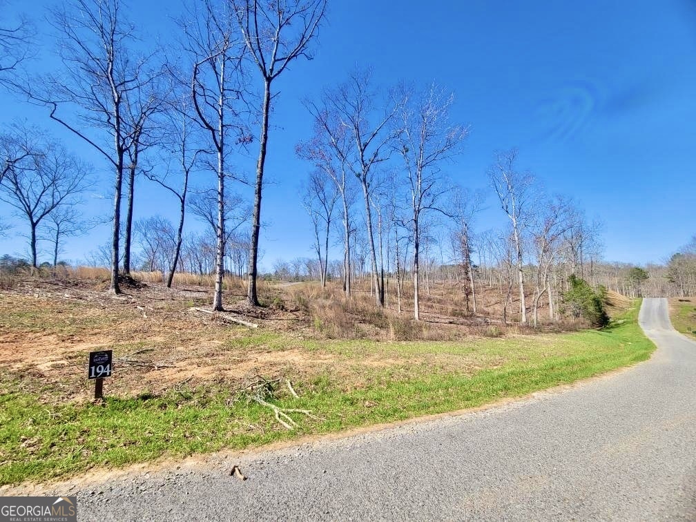 Come build the home of your dreams on this gorgeous 3.66-acre lot, located in the up-and-coming High River Subdivision. This gated community has spectacular views of the Blue Ridge Mountains, access to the private, Lake Lecroy, fishing, year-round river access, scenic areas for picnics or enjoying natures peaceful surroundings. The community is supplied with well water; paved roads and the club house is perfect for entertaining!