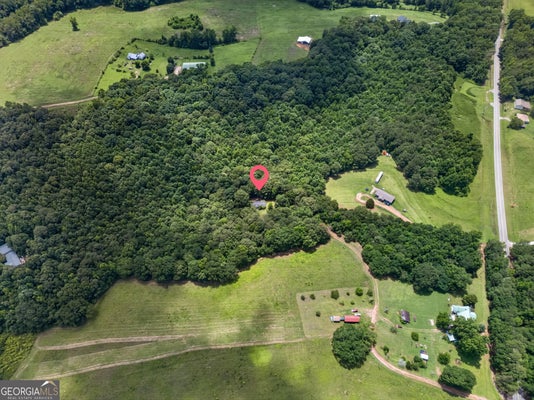 ADDRESS PRIVATE, BOWDON, GA  - Image 2dfd314dfef878e748e3c559e30fb840/2658701439