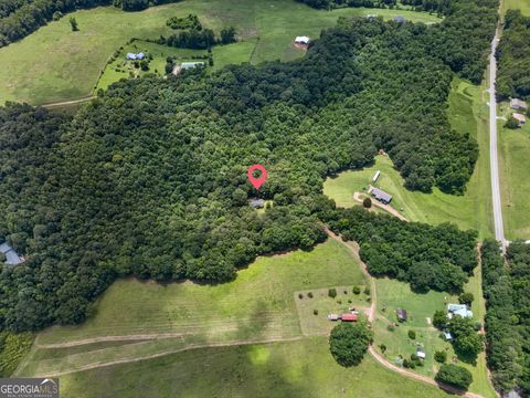Photo of 4104 W 5 Highway, Bowdon, GA 30108 (MLS # 10789103)