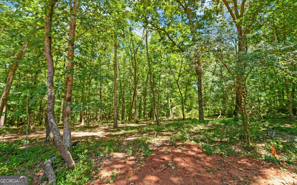 Photo of 67 Blossom Trail, Lavonia, GA 30553 (MLS # 10787492)