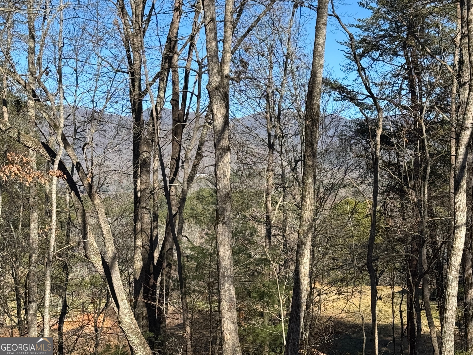 74 Timber LN