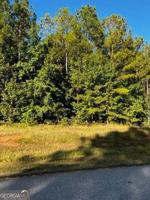  in Lincolnton GA LOT 83 Westwind Harbour Road 2.jpg