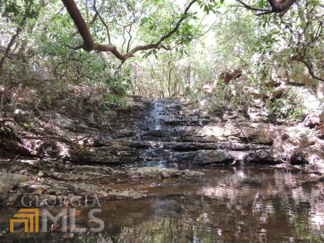 This ±1,700 acres is a truly unique and rare find in northwest Harris County with frontage on Hwy 219 on its southern border and Seven Springs Road on the north, this diverse tract has several creeks, hardwoods, loblolly pine plantation, a waterfall and a beautiful mountain range. A well-established internal road system allows complete tract access, food plots are scattered across the land and the deer and turkey populations are some of the highest in Harris County. The waterfall is a true waterfall with a 20-plus foot drop into a crystal-clear pool! The location and neighbors are unmatched. Interstate I-185 and “Hunters Pub” are minutes away, like minded land stewards surround the property.