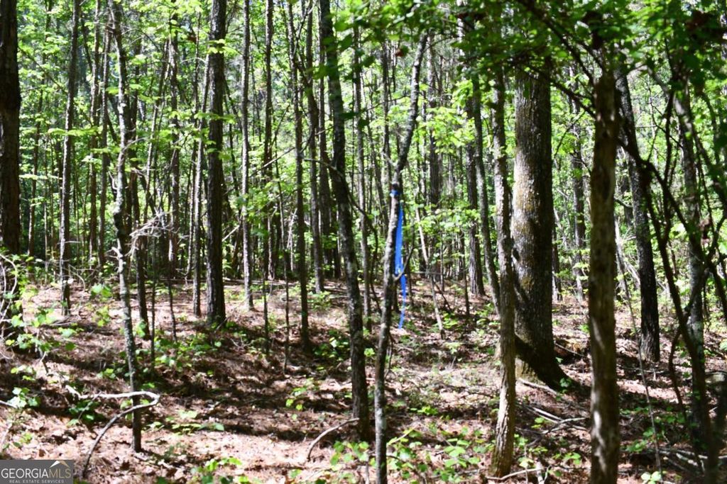 Photo of 1 Windridge Lane, Temple, GA 30179 (MLS # 10757379)