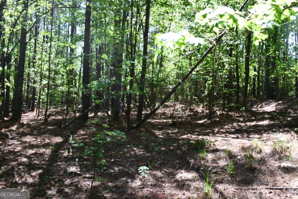 Photo of 1 Windridge Lane, Temple, GA 30179 (MLS # 10757379)