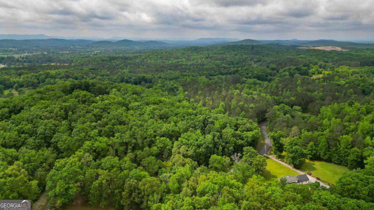 - Escape from the Ordinary & Embrace the Extraordinary of Expansive Acreage - 16.86 Acres - Gas, Power, & Water are Readily Available at the Road Ensuring a Seamless Transaction to you Recreational Retreat or Dream House - Easy Access to Town Amenities & the Peaceful Ambience of the Countryside - 2,100Ft Road Frontage on Jenny Marie & 380Ft Road Frontage on Dupree - Whether You Envision a Private Estate or A Legacy Property Convenience Awaits! - Contact Your Preferred Builder Now! - Must Have Prior Appointment to Walk the Property