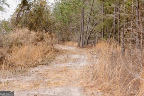 Photo of 0 Bunn Store Road #TRACT 2, Midville, GA 30441 (MLS # 10809317)