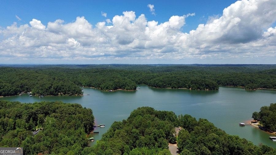 Winsor Shores is a protected Lake Hartwell subdivision with underground utilities and beautiful homes. This lakefront lot offers open access to all 56,000 acres of Lake Hartwell, but no dock is allowed here. Kayaks, canoes and paddle boards will work great in this location. You can keep a larger boat on your property or in public storage and launch your boat for the day at the public boat ramp which is nearby. This lot has a gentle grade keeping building costs low. This lot is .75 acre in size. There are multiple lots available. Please contact the listing agent for more details.
