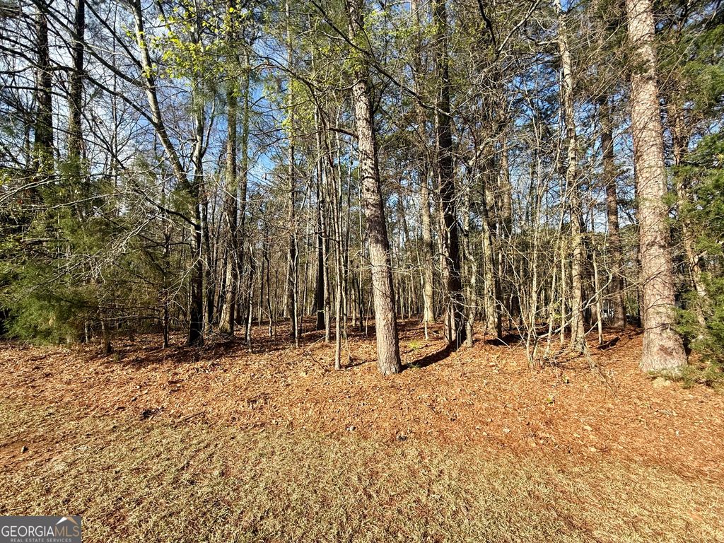 Photo of 0 Loraine Forest Courts, Forsyth, GA 31029 (MLS # 10706300)