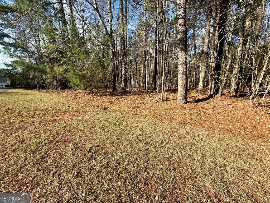 Photo of 0 Loraine Forest Courts, Forsyth, GA 31029 (MLS # 10706300)