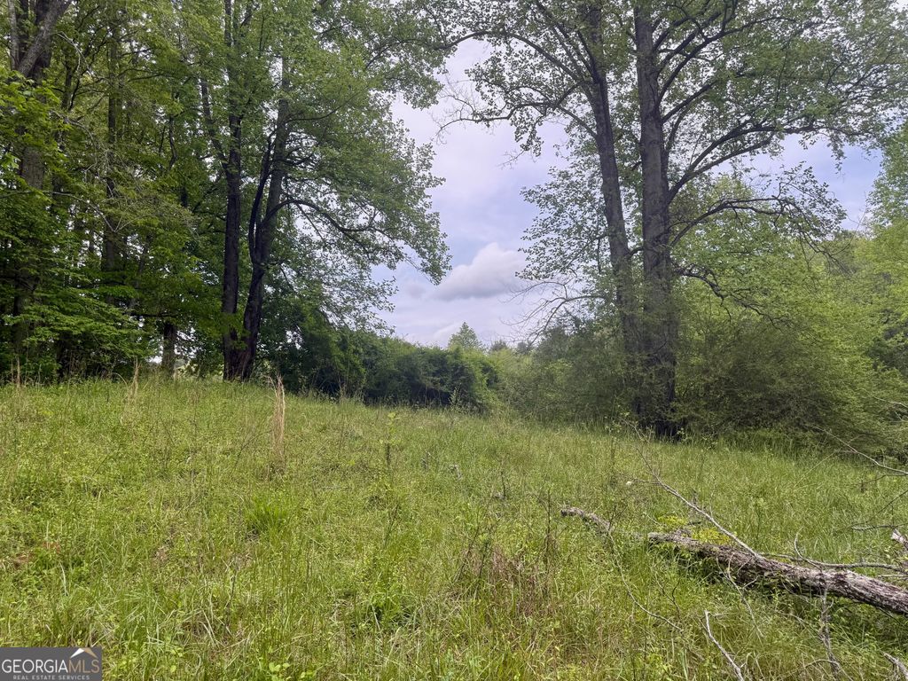 Photo of 9 Peach Orchard Way, Tiger, GA 30576 (MLS # 10766817)