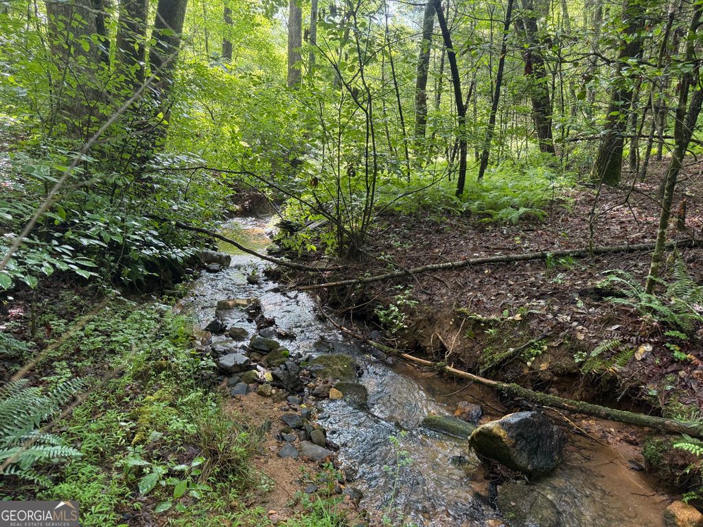 Photo of 9 Peach Orchard Way, Tiger, GA 30576 (MLS # 10766817)