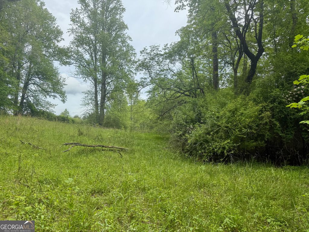 Photo of 9 Peach Orchard Way, Tiger, GA 30576 (MLS # 10766817)