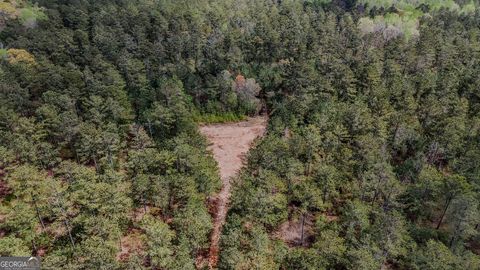 Photo of 0 Hwy 166 Road, Carrollton, GA 30116 (MLS # 10706940)