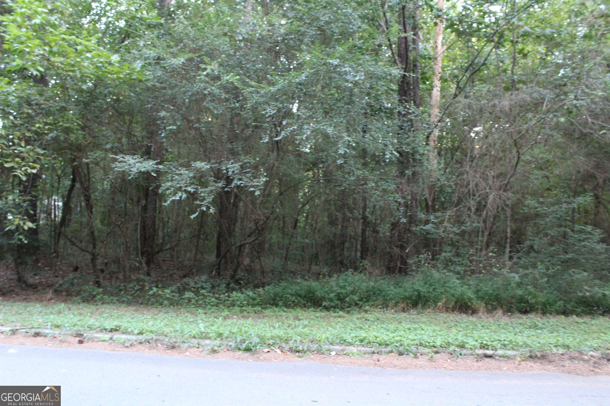 Discover an exceptional opportunity with this spacious 0.6-acre parcel of land on Tunbridge Wells Ct in Lithonia, GA. This lot offers convenient access to public utilities and is free from Homeowners Association (HOA) fees. Its prime location in Dekalb County makes it ideal for residential development. This property's generous size provides ample space for a custom home or investment project. Secure your real estate in a thriving area with easy access to local amenities and major routes. Contact us to learn more about this attractive listing. Agent-owned property.