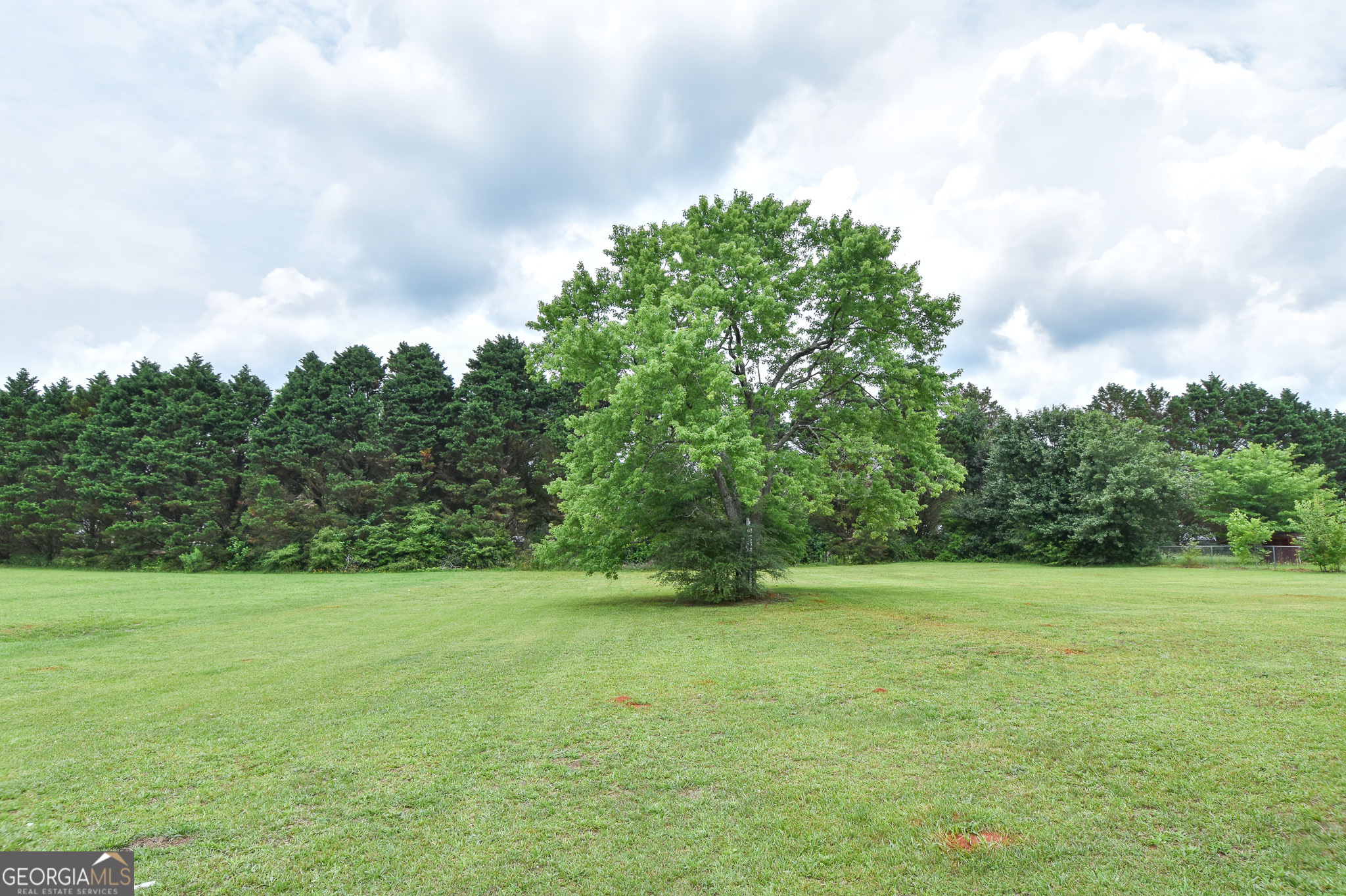 113 Meadowview LN
