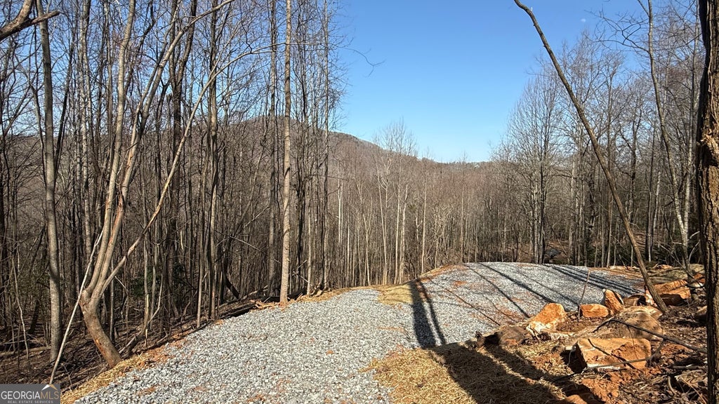 Photo of 17 Chalet, Sautee Nacoochee, GA 30571 (MLS # 10839847)