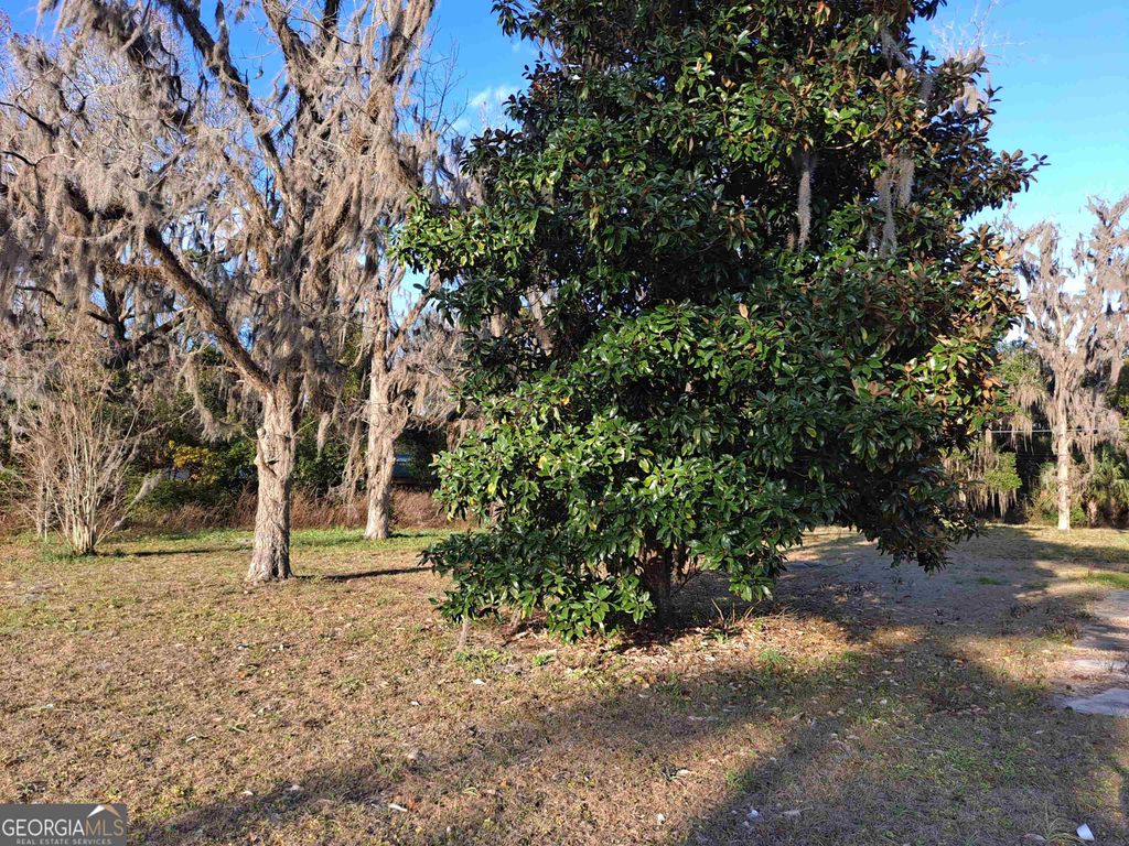 Photo of 0 EAST Martin Street, Folkston, GA 31537 (MLS # 10756144)