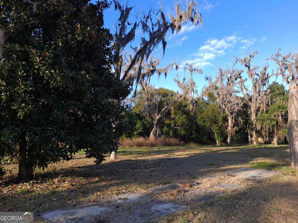 Photo of 0 EAST Martin Street, Folkston, GA 31537 (MLS # 10756144)