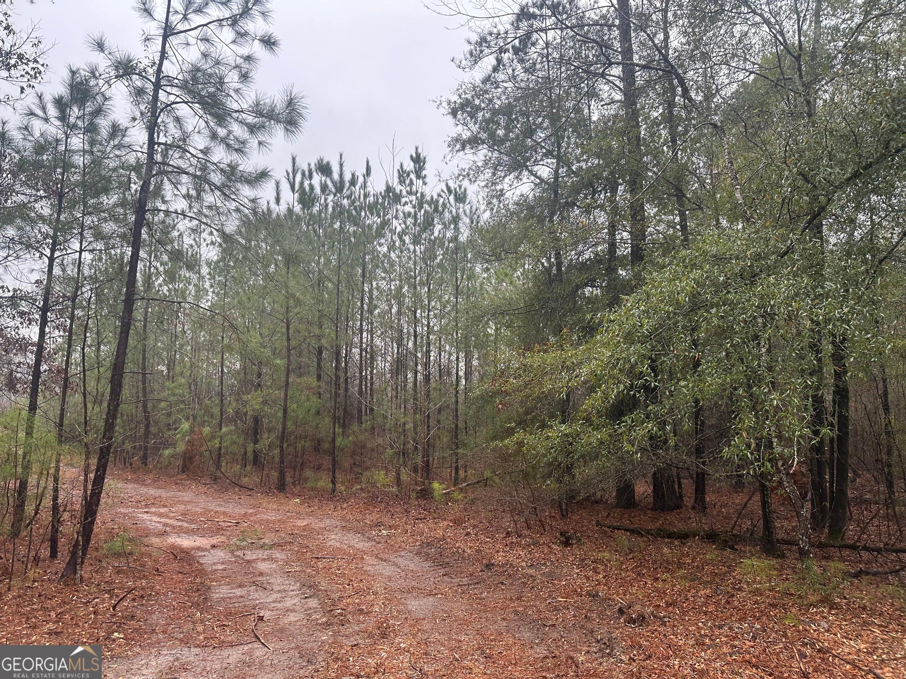 12.35 +/- AC White RD