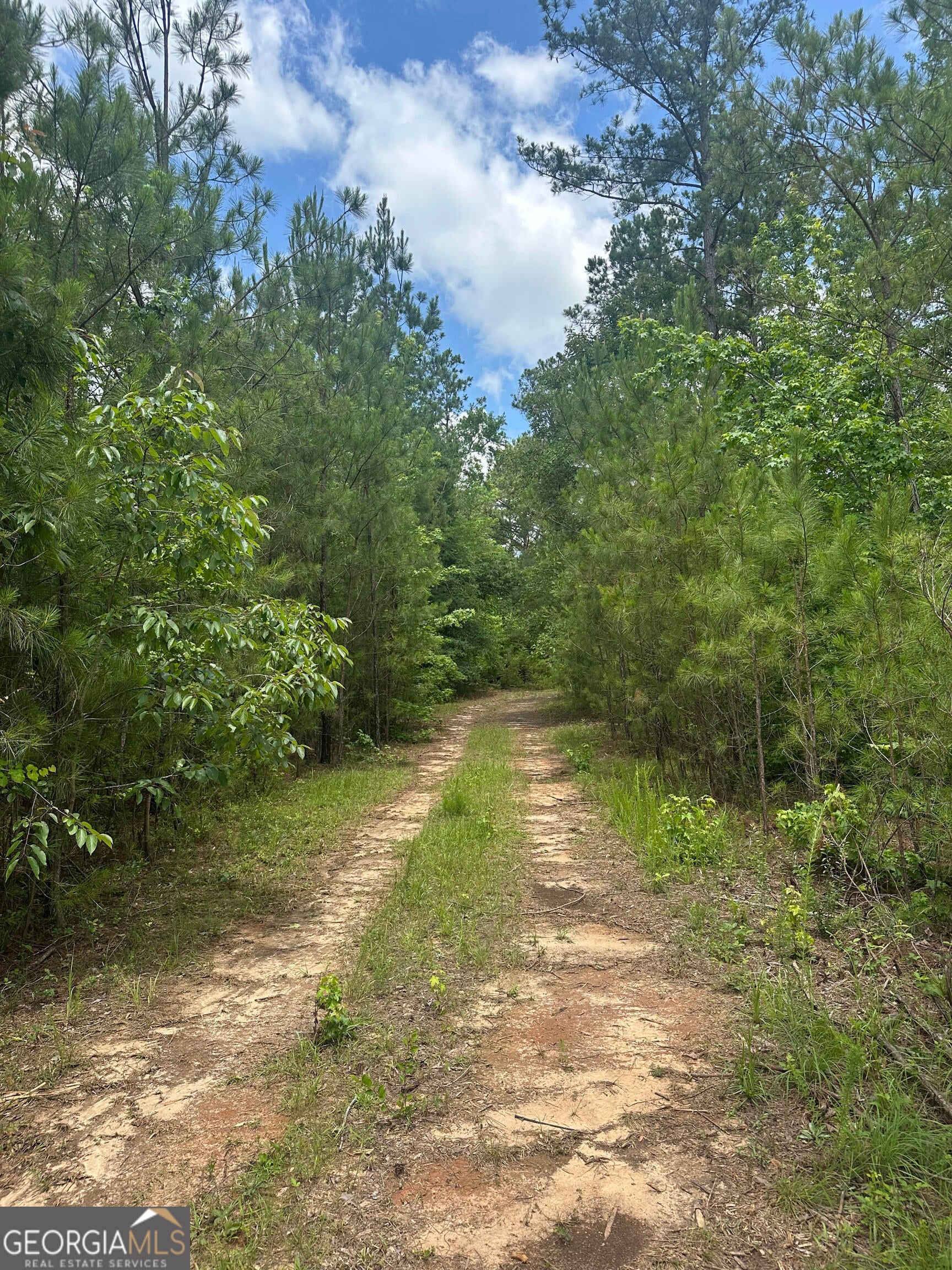 12.35 +/- AC White RD