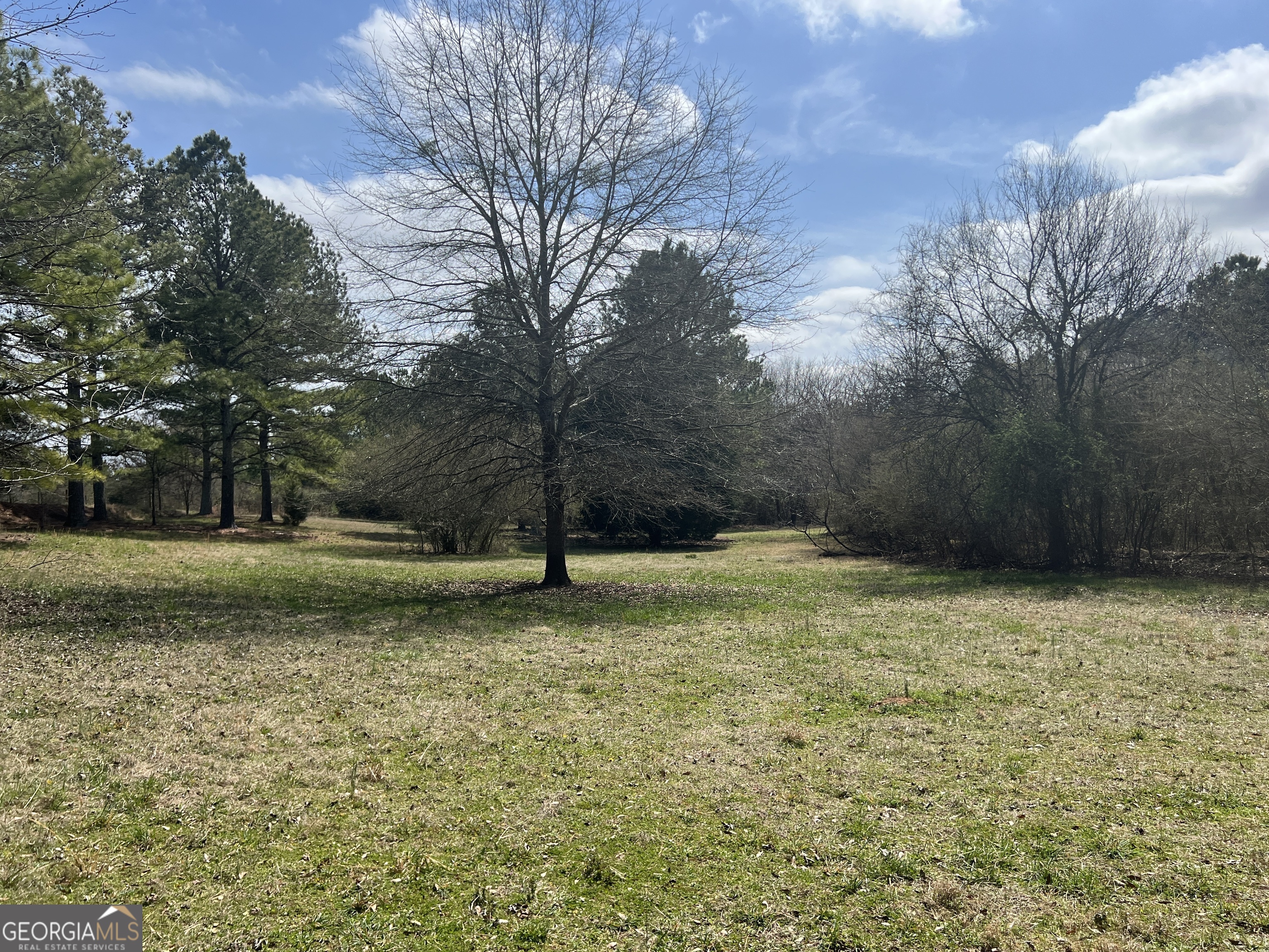 1593 Old Alabama RD