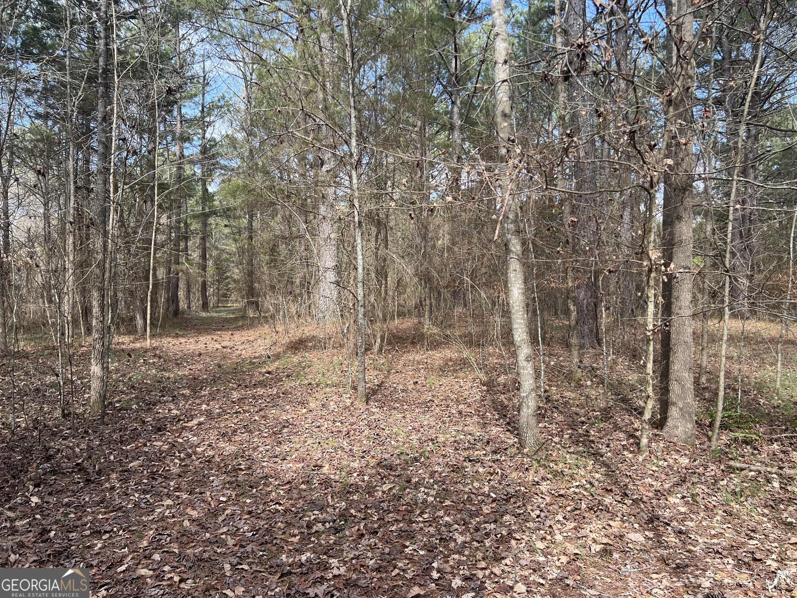 1593 Old Alabama RD