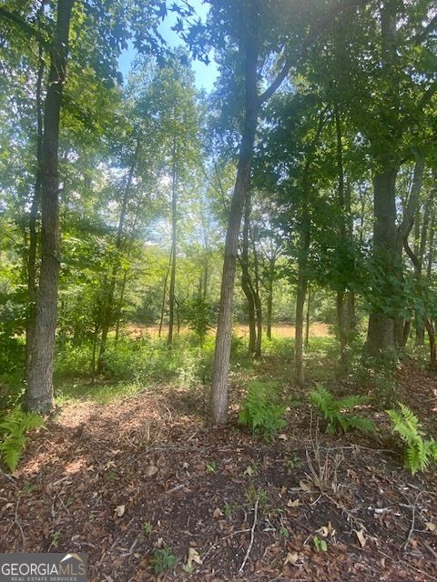 1764 Flatbottom Ball Ground GA 30107