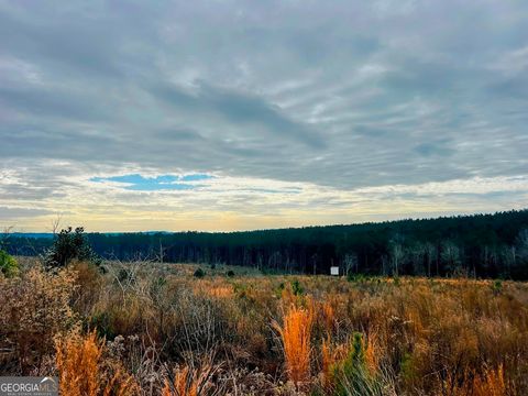 Photo of 0 County Road 309 #TRACT A, Skipperville, AL 36374 (MLS # 10677625)