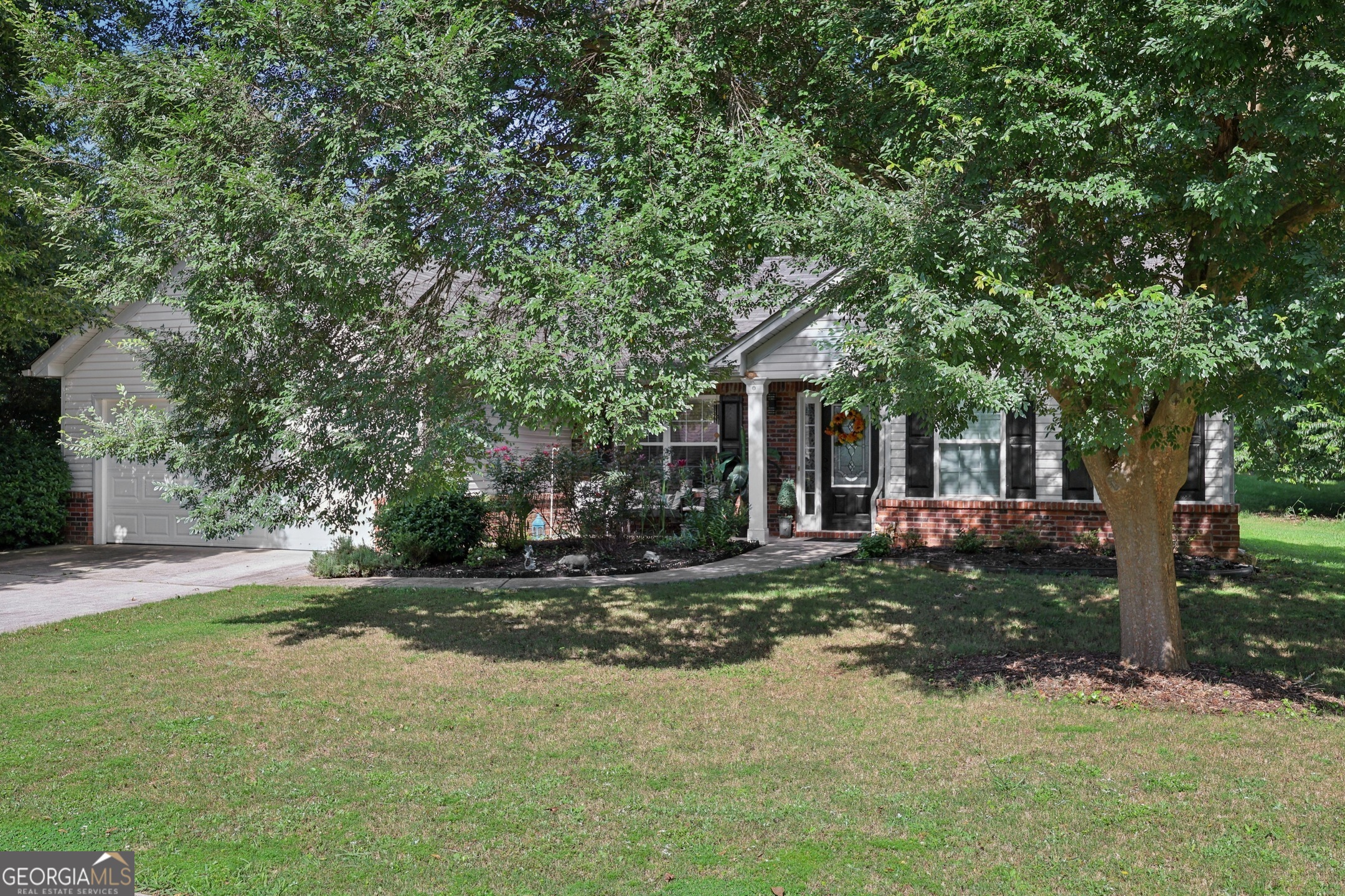 64 River Mist CIR