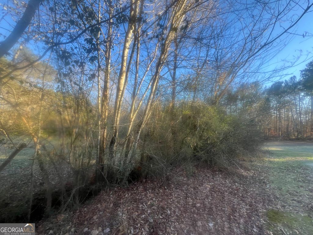 Photo of 587 E Johnson Street, Temple, GA 30179 (MLS # 10683673)