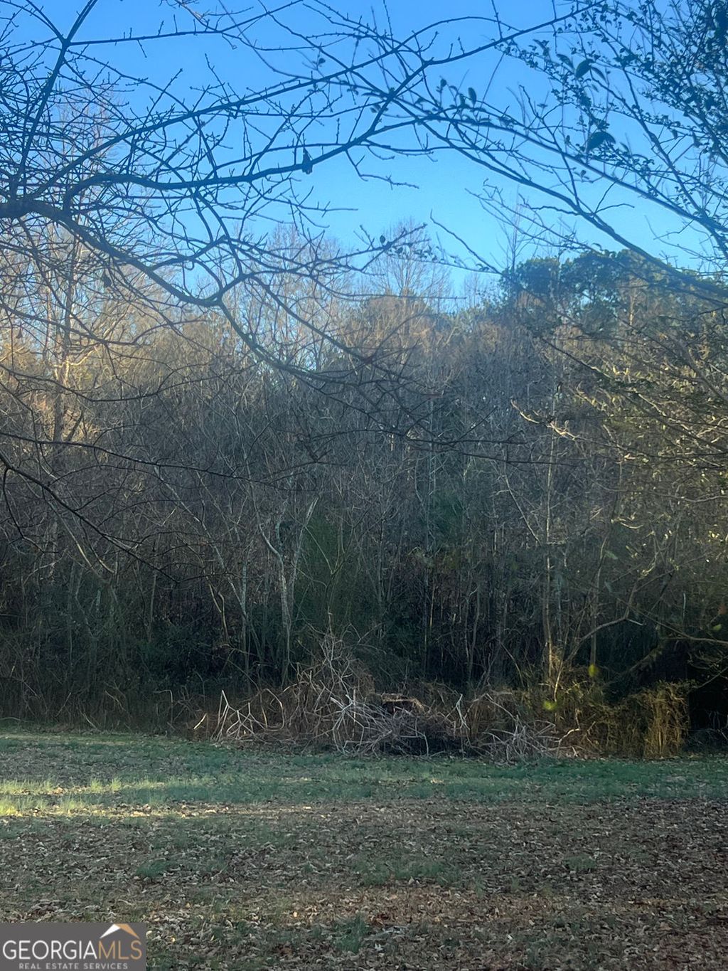 Photo of 587 E Johnson Street, Temple, GA 30179 (MLS # 10683673)