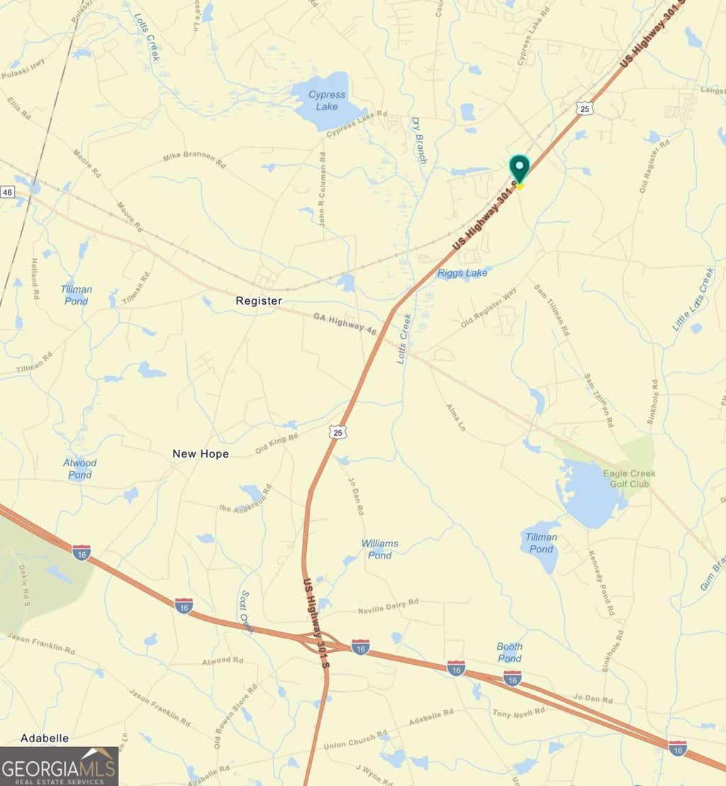 Photo of 9542 Highway 301 South, Statesboro, GA 30458 (MLS # 10823747)