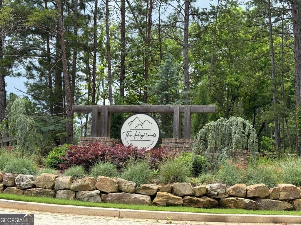 Photo of 165 Highlands Chase, Ball Ground, GA 30107 (MLS # 10727067)