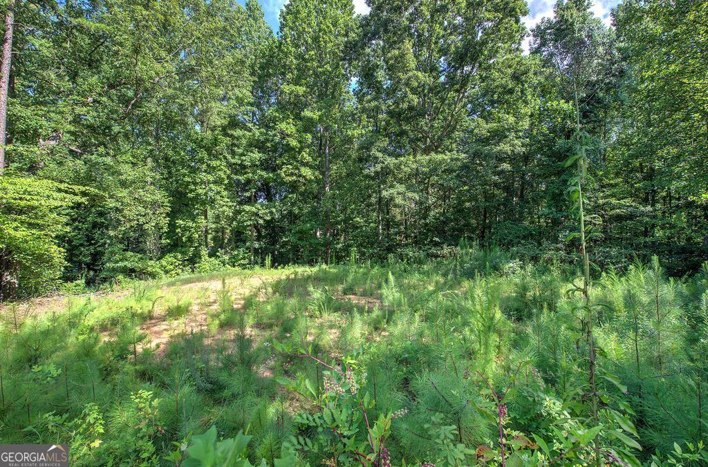 573 Dallas HWY SE