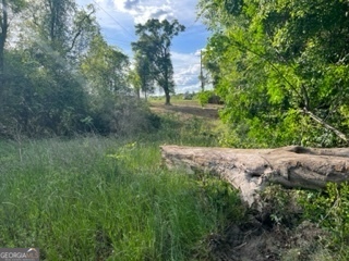 51+/-AC S Hwy 431