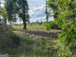 51+/-AC S Hwy 431