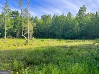51+/-AC S Hwy 431