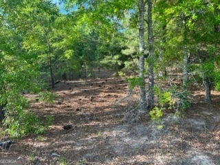 51+/-AC S Hwy 431