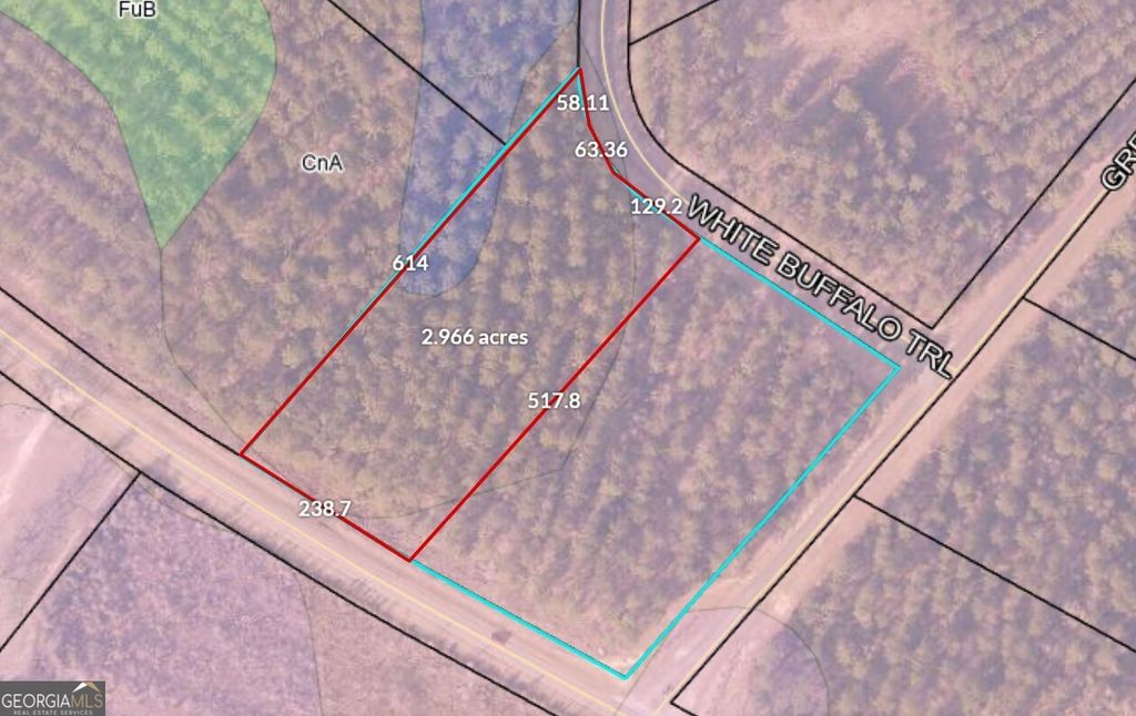 Photo of 14 Rock Springs Road, Dublin, GA 31021 (MLS # 10661856)