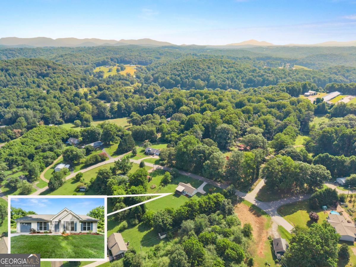 225 Fortner DR