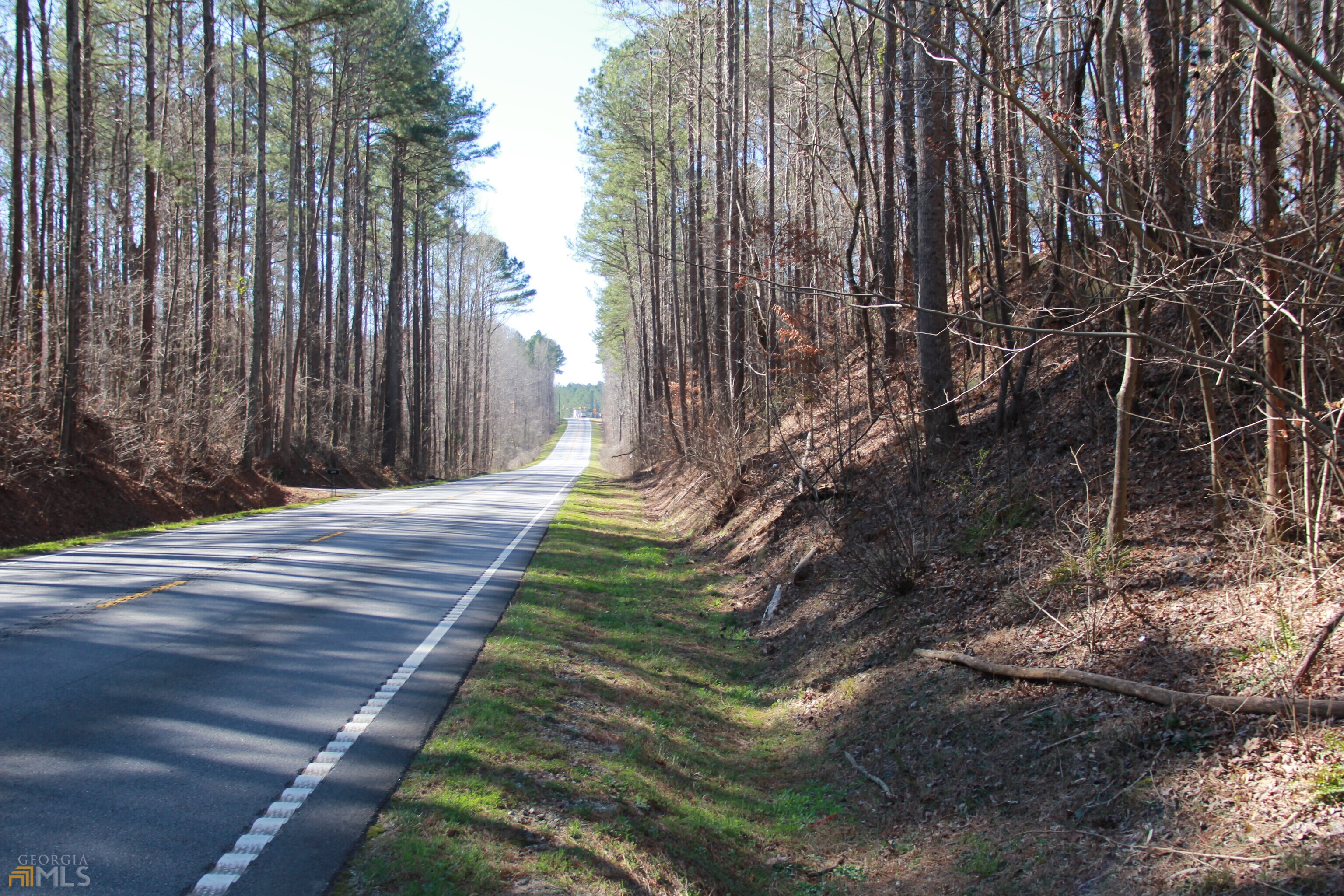 Photo 1 of 34 of 0 Cascade Palmetto HWY land