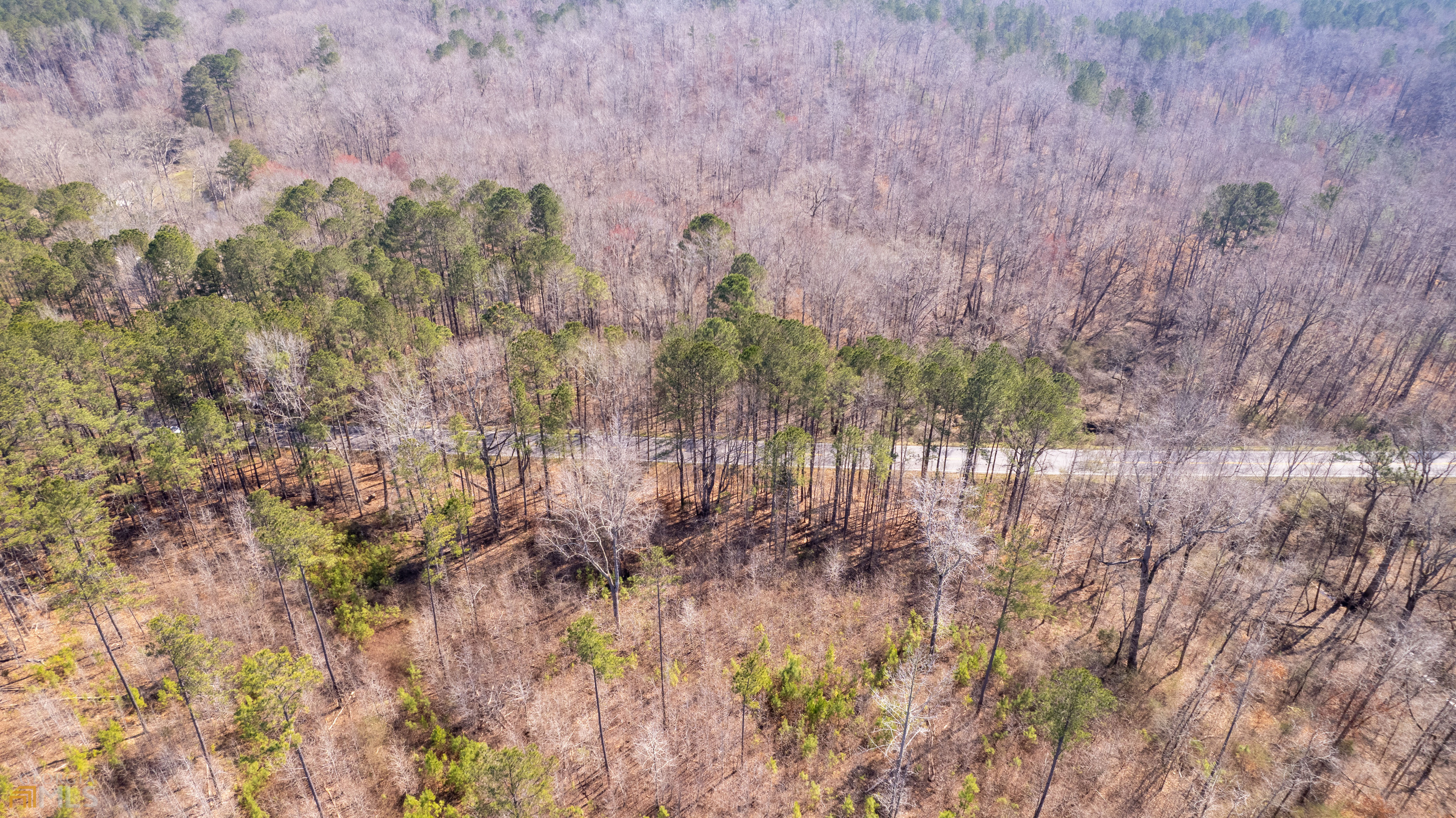 Photo 18 of 34 of 0 Cascade Palmetto HWY land