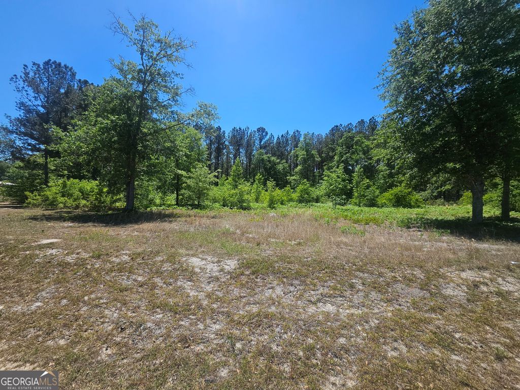 Photo of 0 Edgar Lane Road, Millen, GA 30442 (MLS # 10737929)