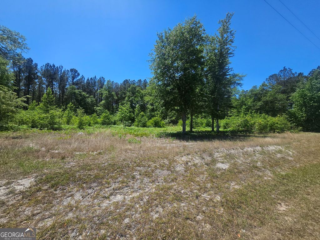 Photo of 0 Edgar Lane Road, Millen, GA 30442 (MLS # 10737929)