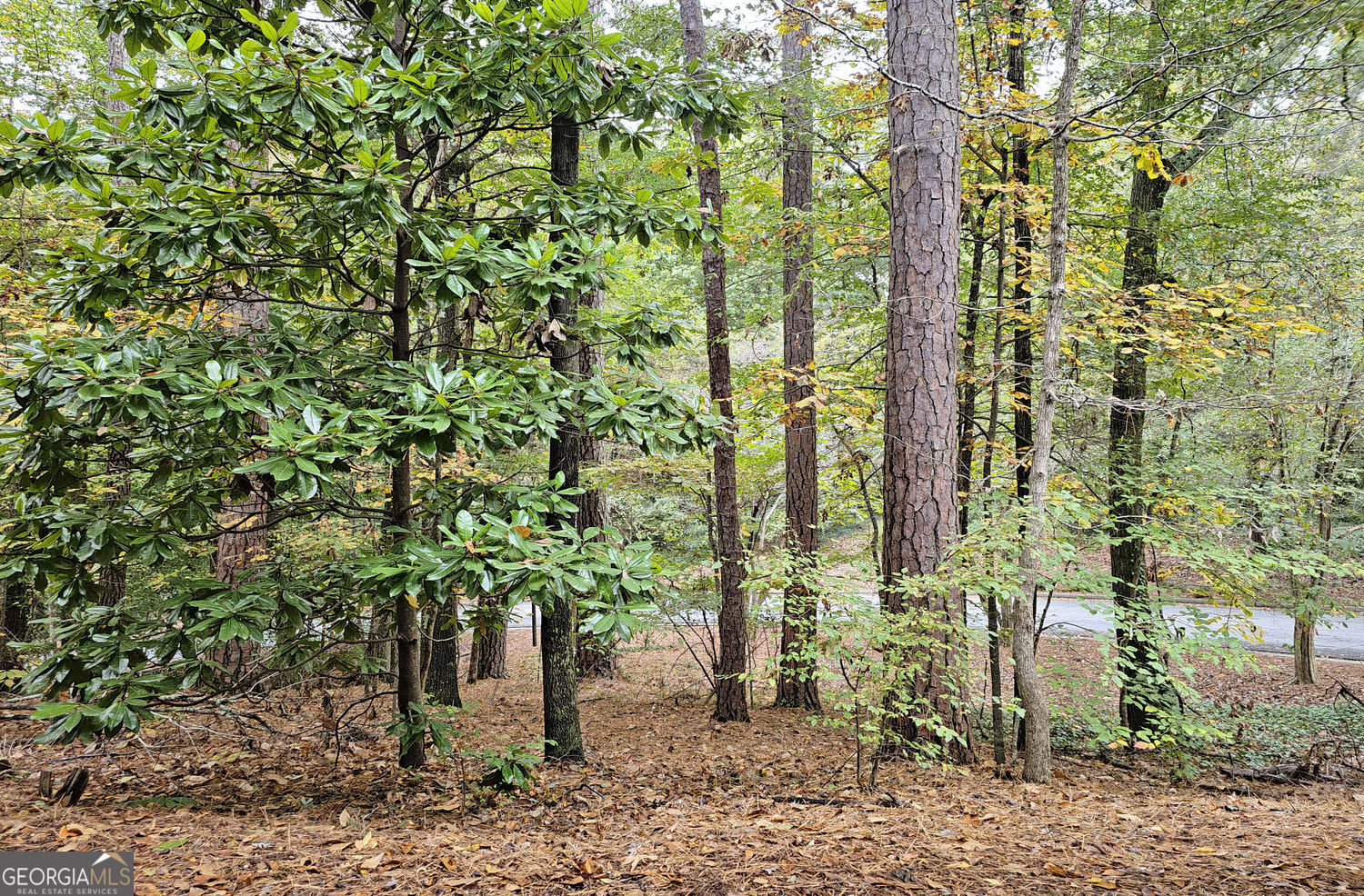 Roswell, Georgia 30075, United States, 4 Bedrooms Bedrooms, ,4 BathroomsBathrooms,Residential,Active,236639