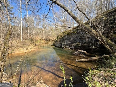 Photo of 600 Yarbrough Road, Franklin, GA 30217 (MLS # 10721589)