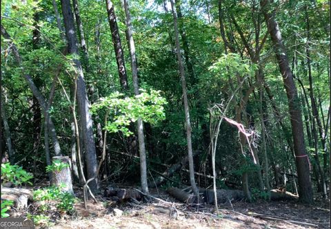 0.68 Valley View RD Ellijay GA 30536