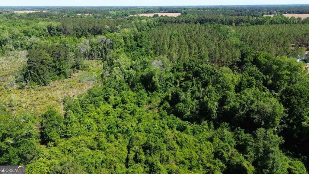 Photo of 0 Reedy Branch Road, Statesboro, GA 30458 (MLS # 10760193)
