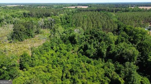 Photo of 0 Reedy Branch Road, Statesboro, GA 30458 (MLS # 10760193)